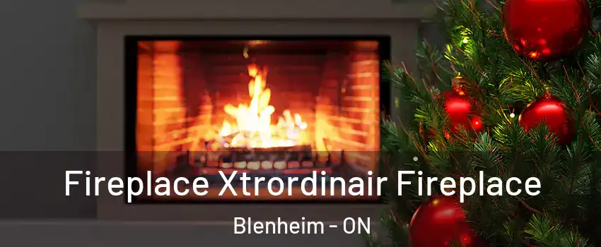 Fireplace Xtrordinair Fireplace Blenheim - ON