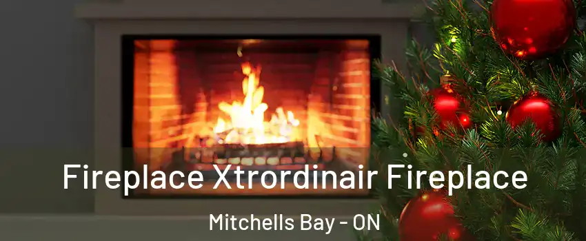 Fireplace Xtrordinair Fireplace Mitchells Bay - ON