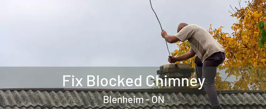  Fix Blocked Chimney Blenheim - ON