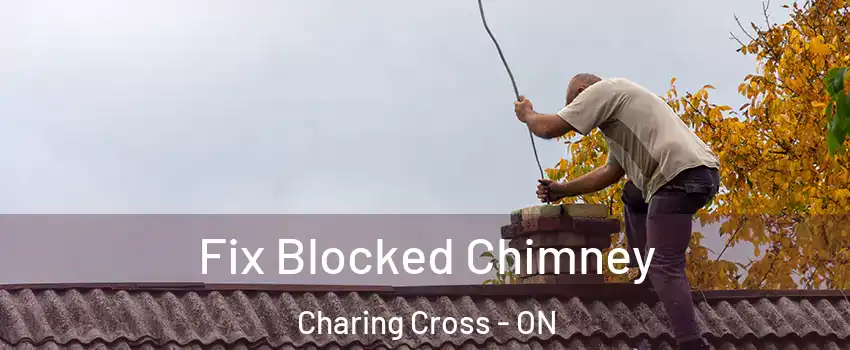  Fix Blocked Chimney Charing Cross - ON