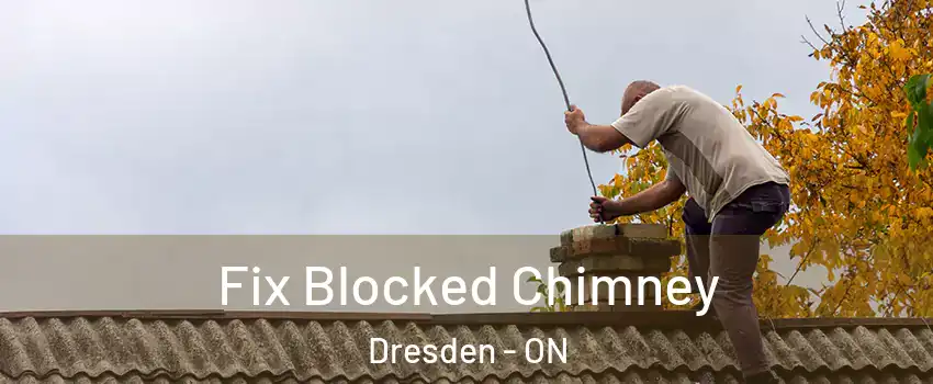  Fix Blocked Chimney Dresden - ON