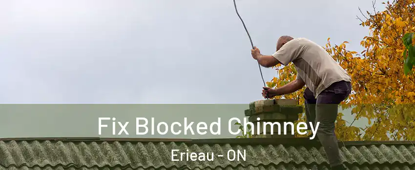  Fix Blocked Chimney Erieau - ON
