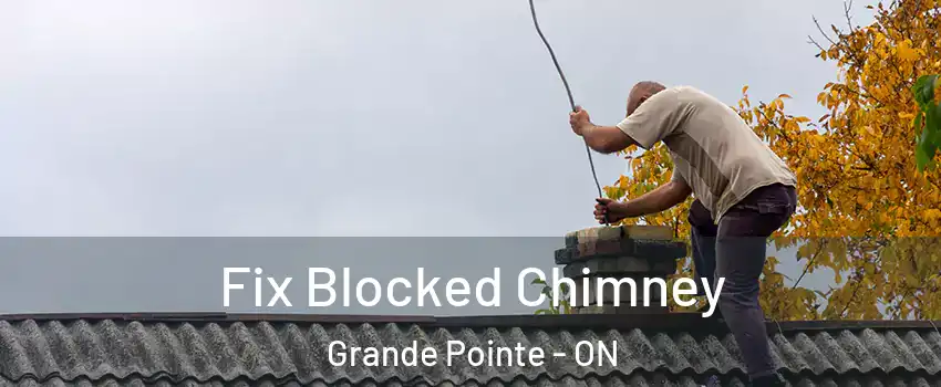  Fix Blocked Chimney Grande Pointe - ON