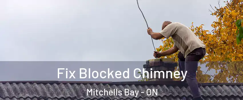  Fix Blocked Chimney Mitchells Bay - ON