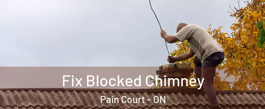 Fix Blocked Chimney Pain Court - ON