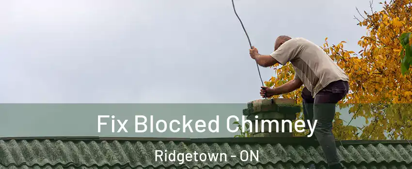  Fix Blocked Chimney Ridgetown - ON