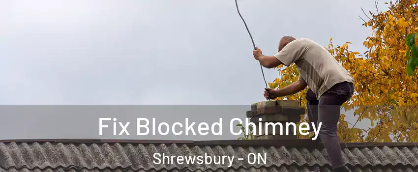  Fix Blocked Chimney Shrewsbury - ON