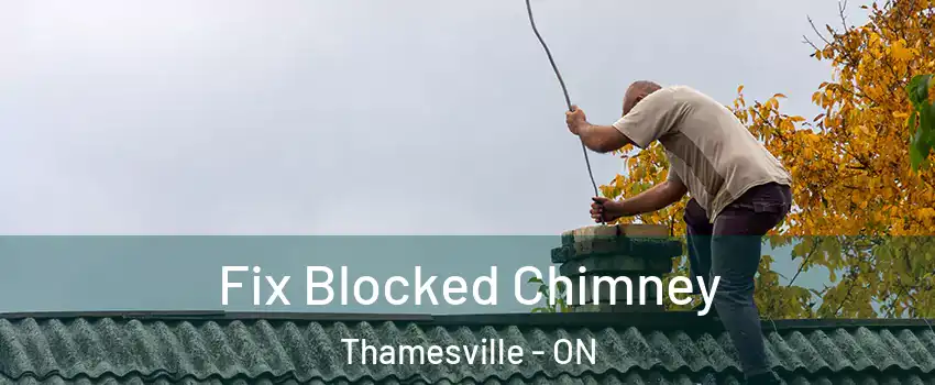 Fix Blocked Chimney Thamesville - ON