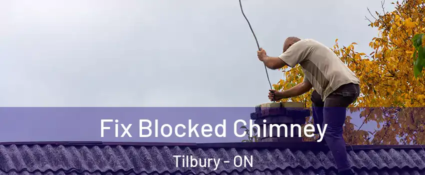  Fix Blocked Chimney Tilbury - ON
