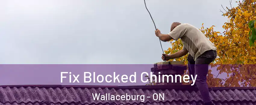  Fix Blocked Chimney Wallaceburg - ON