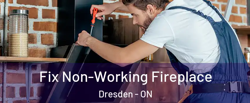  Fix Non-Working Fireplace Dresden - ON