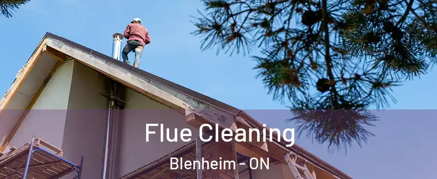  Flue Cleaning Blenheim - ON
