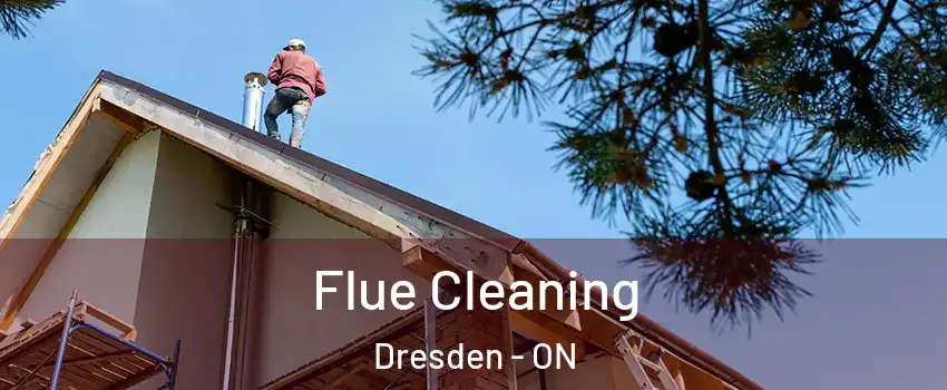  Flue Cleaning Dresden - ON