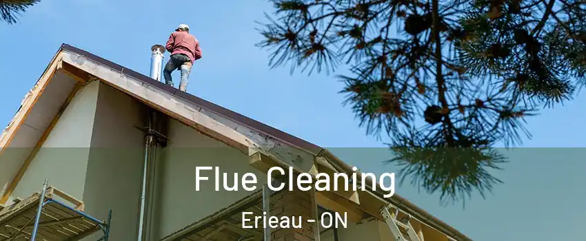  Flue Cleaning Erieau - ON