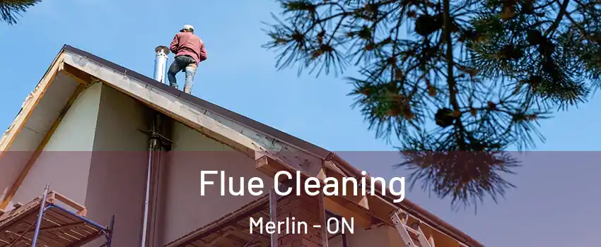  Flue Cleaning Merlin - ON