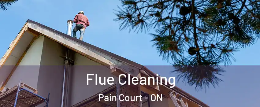  Flue Cleaning Pain Court - ON