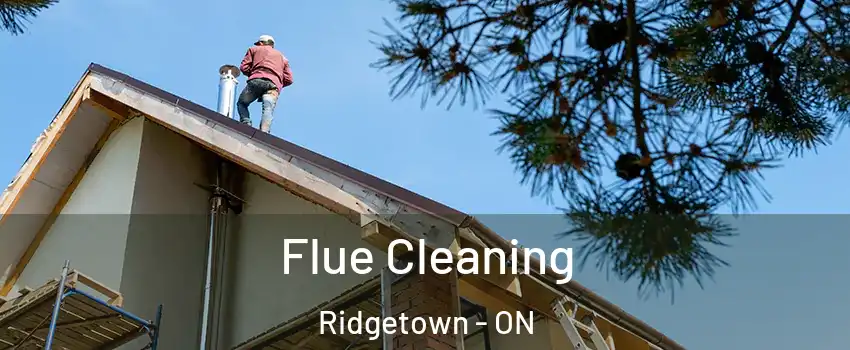  Flue Cleaning Ridgetown - ON