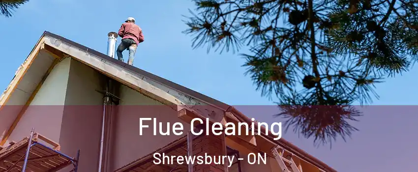  Flue Cleaning Shrewsbury - ON