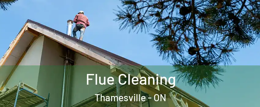  Flue Cleaning Thamesville - ON
