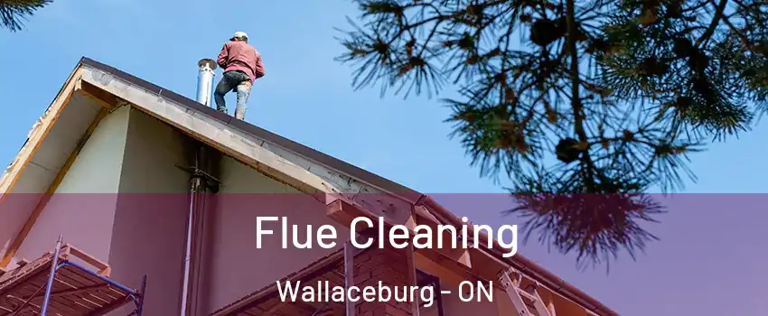  Flue Cleaning Wallaceburg - ON