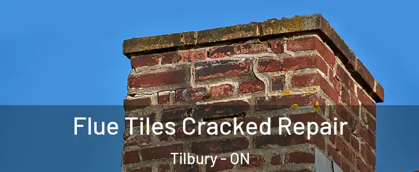  Flue Tiles Cracked Repair Tilbury - ON
