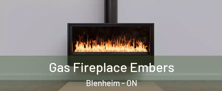  Gas Fireplace Embers Blenheim - ON