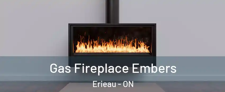  Gas Fireplace Embers Erieau - ON