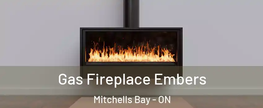  Gas Fireplace Embers Mitchells Bay - ON