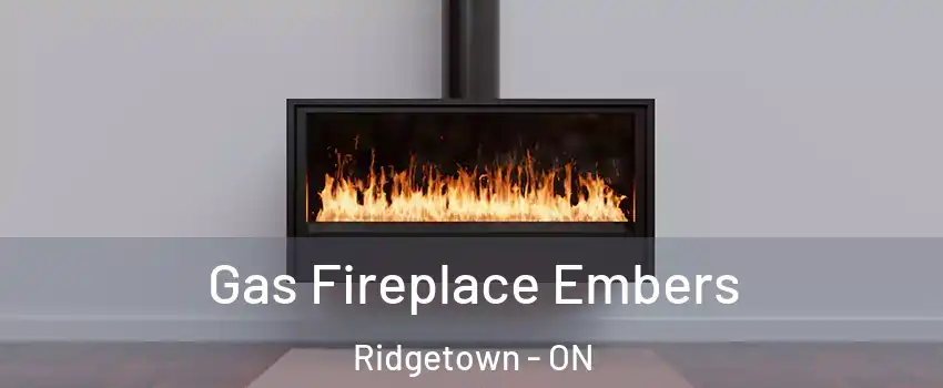  Gas Fireplace Embers Ridgetown - ON