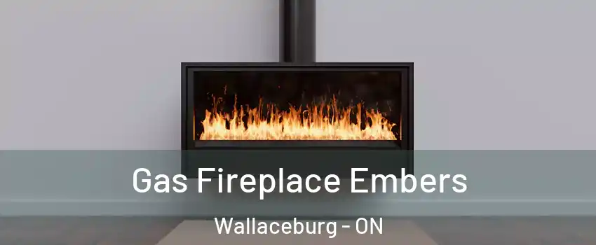  Gas Fireplace Embers Wallaceburg - ON