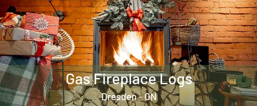  Gas Fireplace Logs Dresden - ON