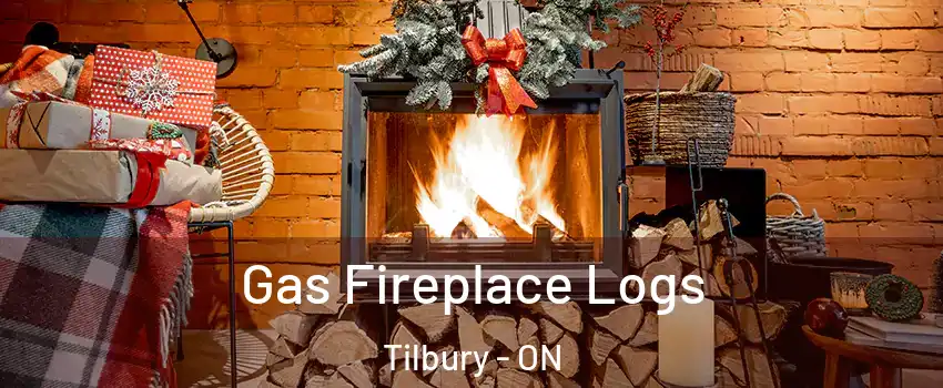  Gas Fireplace Logs Tilbury - ON