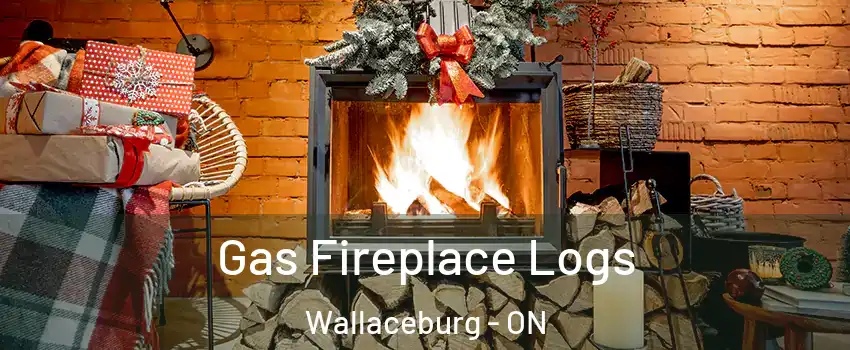  Gas Fireplace Logs Wallaceburg - ON