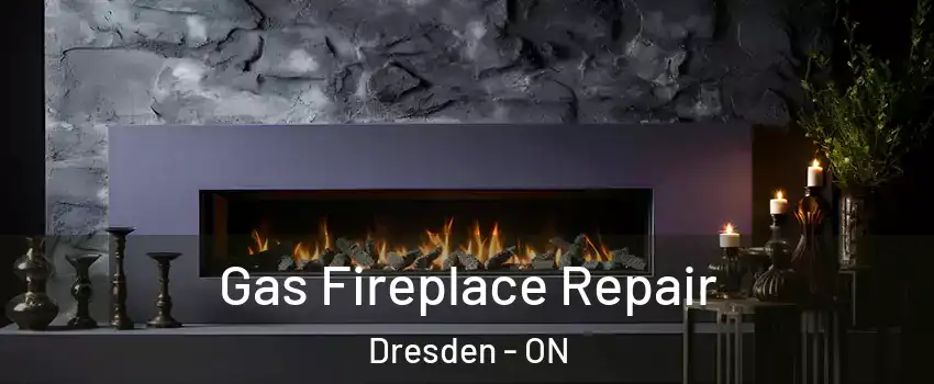  Gas Fireplace Repair Dresden - ON