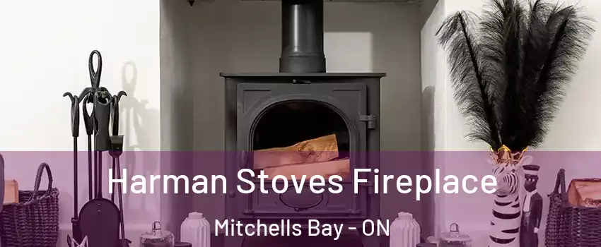  Harman Stoves Fireplace Mitchells Bay - ON