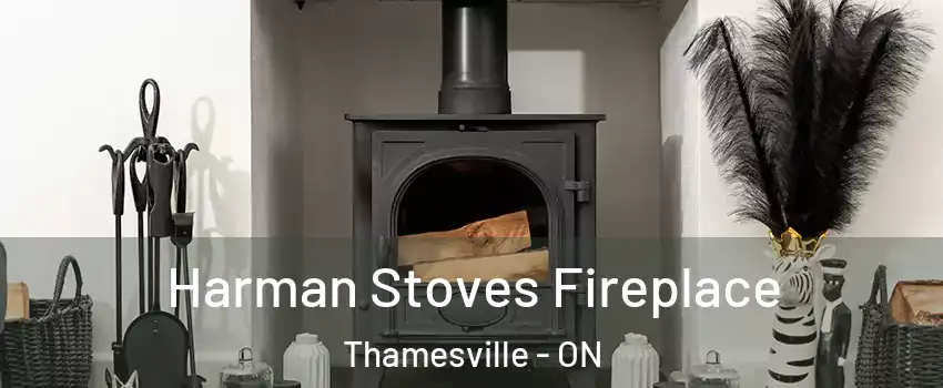  Harman Stoves Fireplace Thamesville - ON