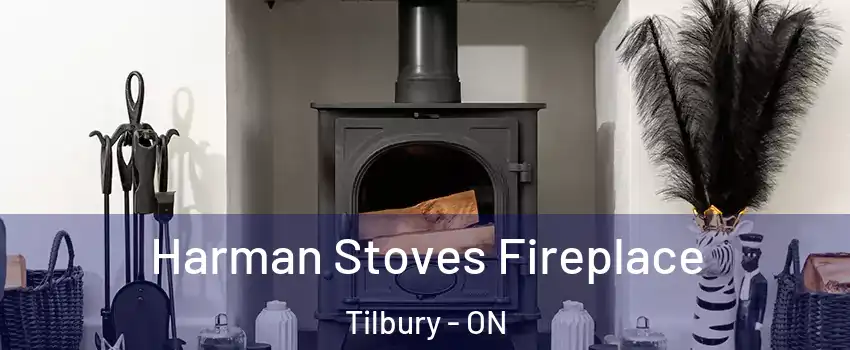  Harman Stoves Fireplace Tilbury - ON