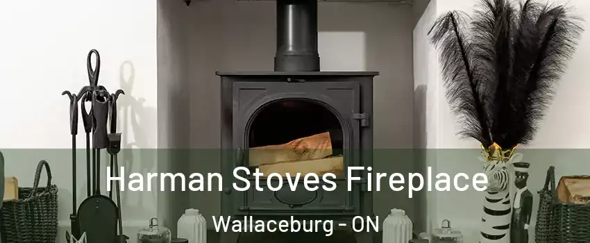  Harman Stoves Fireplace Wallaceburg - ON