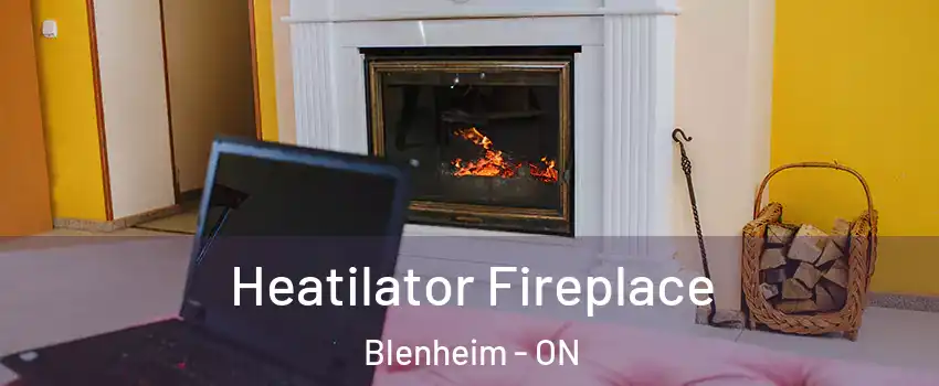  Heatilator Fireplace Blenheim - ON