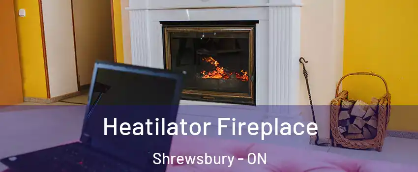  Heatilator Fireplace Shrewsbury - ON