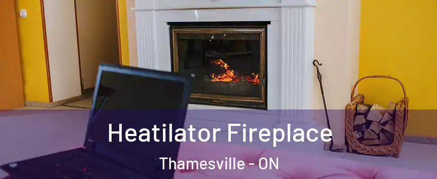  Heatilator Fireplace Thamesville - ON