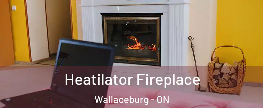  Heatilator Fireplace Wallaceburg - ON