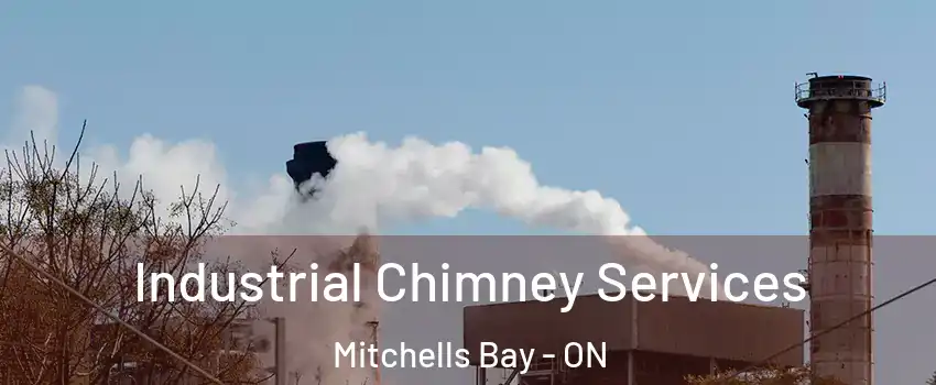  Industrial Chimney Services Mitchells Bay - ON
