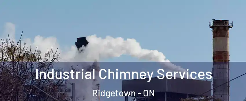  Industrial Chimney Services Ridgetown - ON