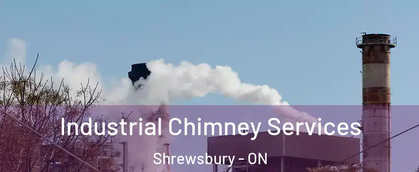  Industrial Chimney Services Shrewsbury - ON