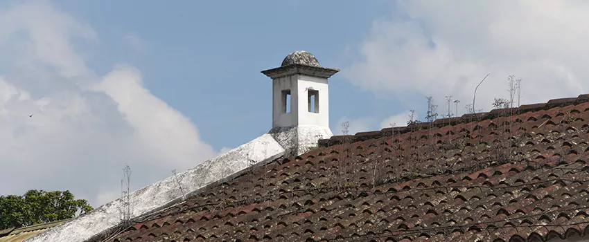 Wind-Resistant Chimney Caps Installation and Repair Services in Chatham, Ontario
