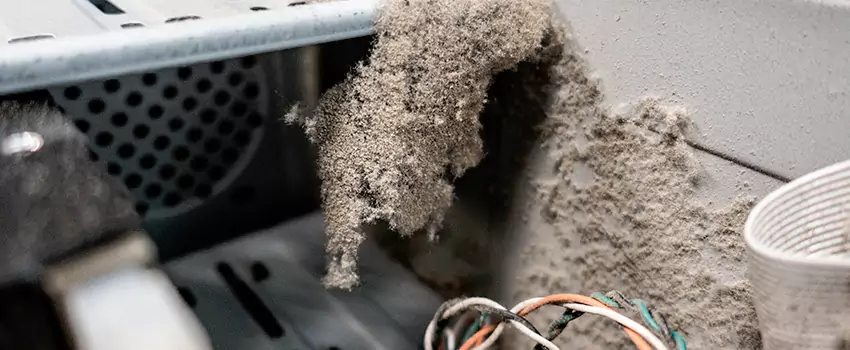 Clogged Dryer Vent Lint Cleaning in Chatham, Ontario
