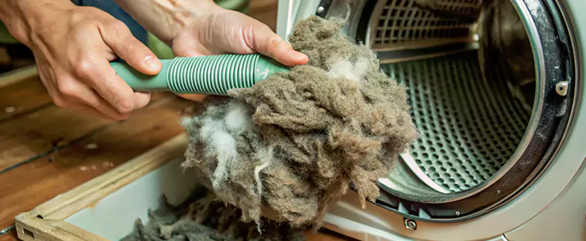 Best Dryer Lint Removal Company in Chatham, Ontario