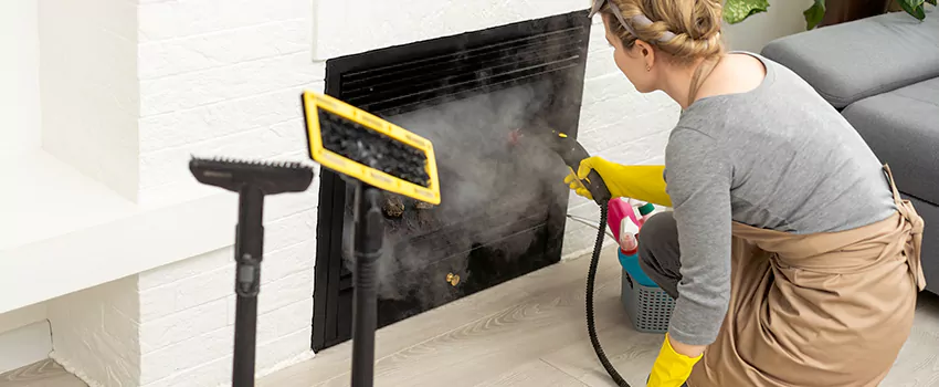 Fireplace Doors Cleaning in Chatham, Ontario