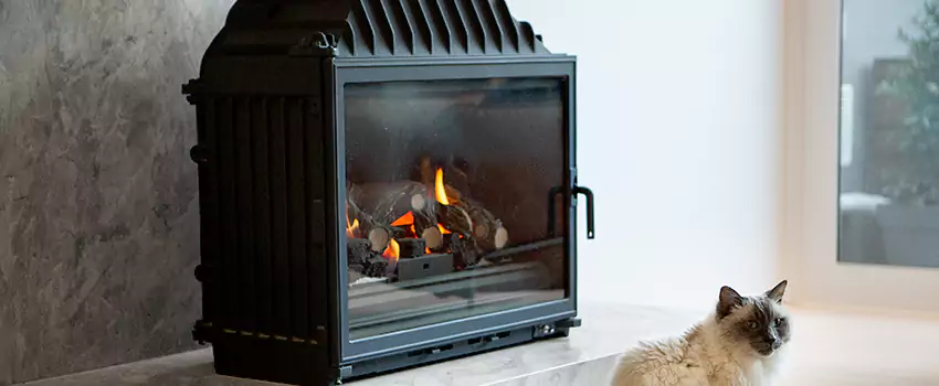 Fireplace Damaged Damper Frame Repair Services in Chatham, Ontario